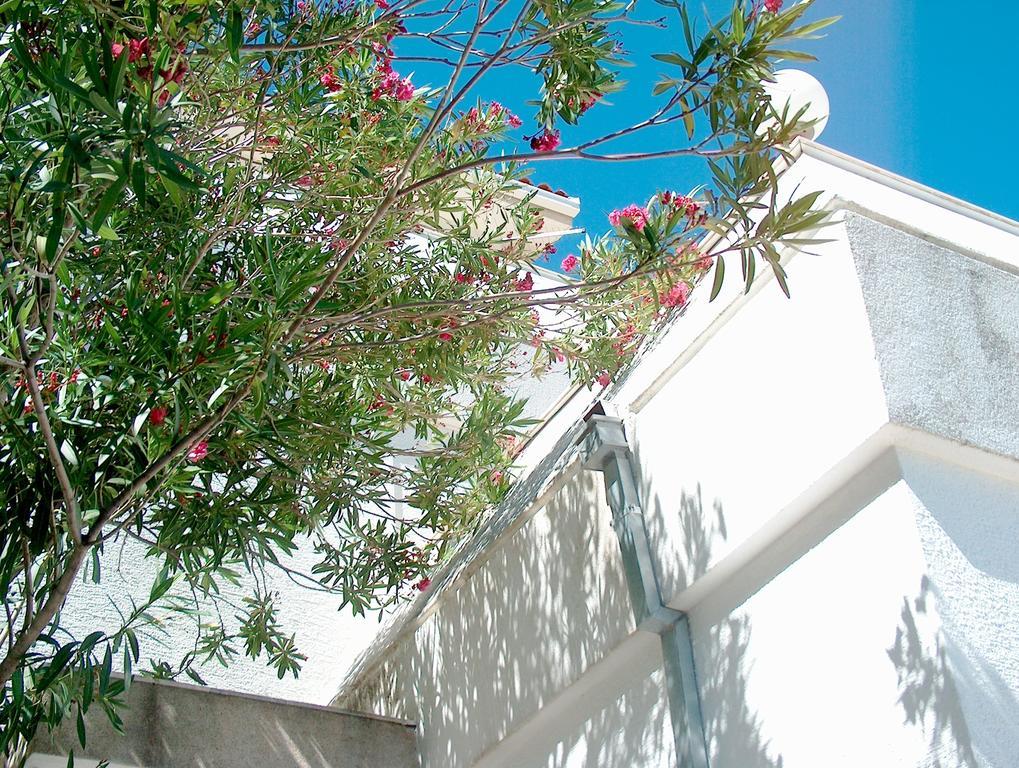 Villa Blanka Donji Okrug  Стая снимка